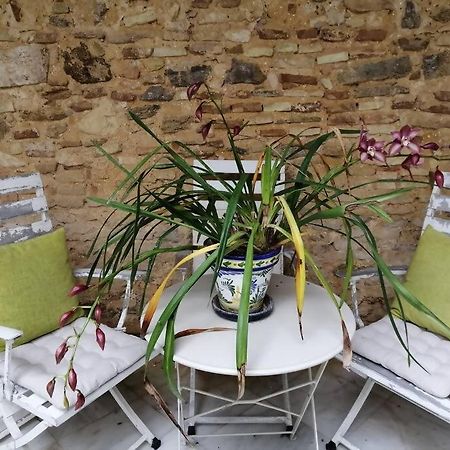 Apartamento El Sosiego Sanlúcar de Barrameda Exterior foto