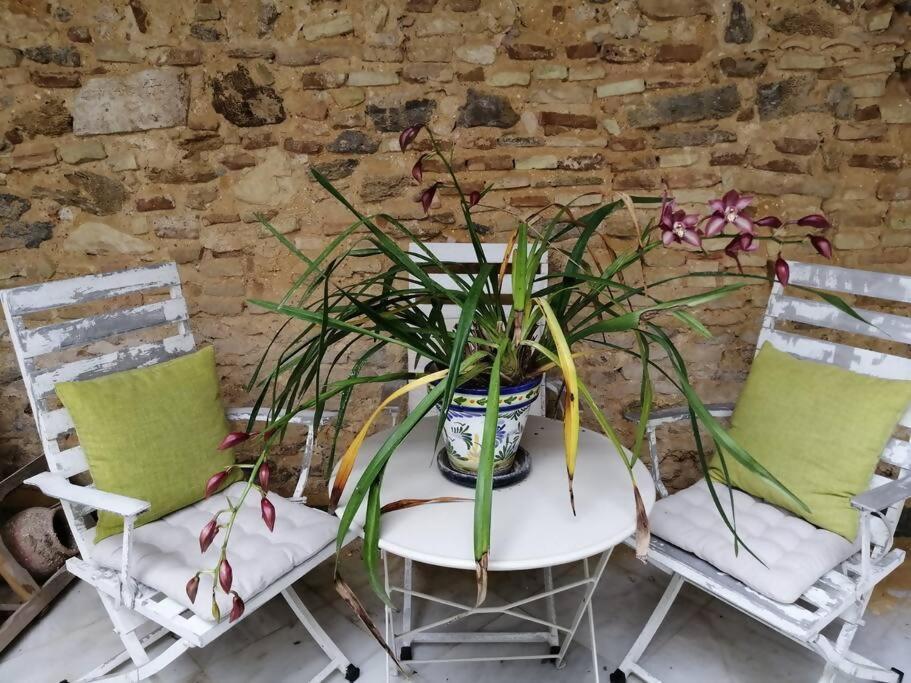 Apartamento El Sosiego Sanlúcar de Barrameda Exterior foto