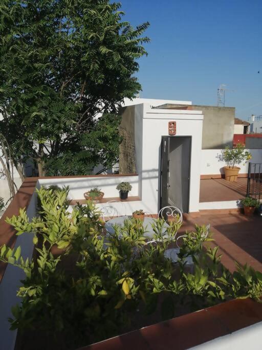 Apartamento El Sosiego Sanlúcar de Barrameda Exterior foto